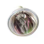 Lampada projetor INFOCUS VARIOS MODELOS